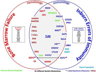 Gain-of-function defects in toll-like receptor 8 shed light on the interface between immune system and bone marrow failure disorders